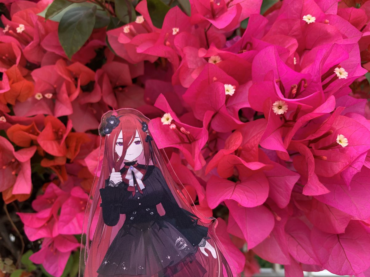 玄米誇鬆(玄米クロワッサン) tweet media