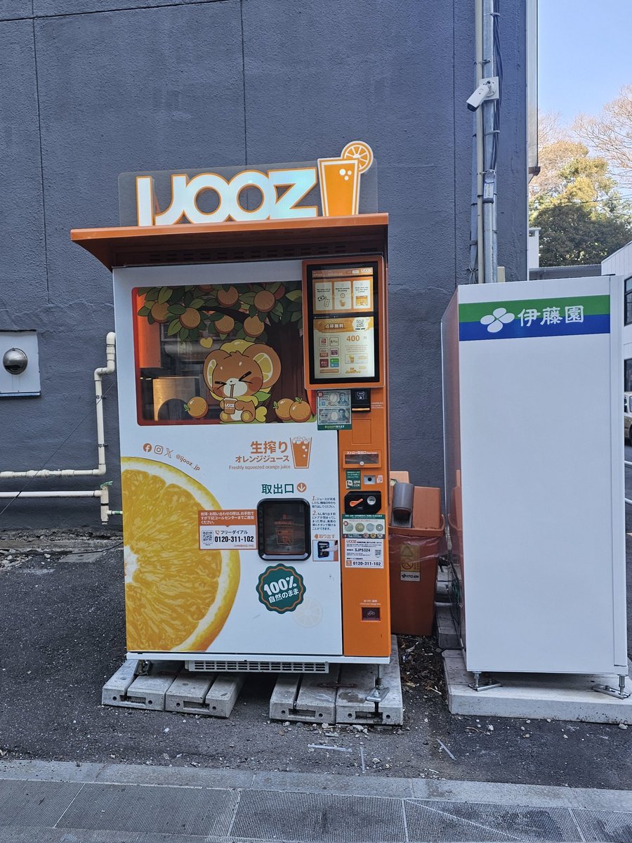 尼罗河小鳄鱼 tweet media