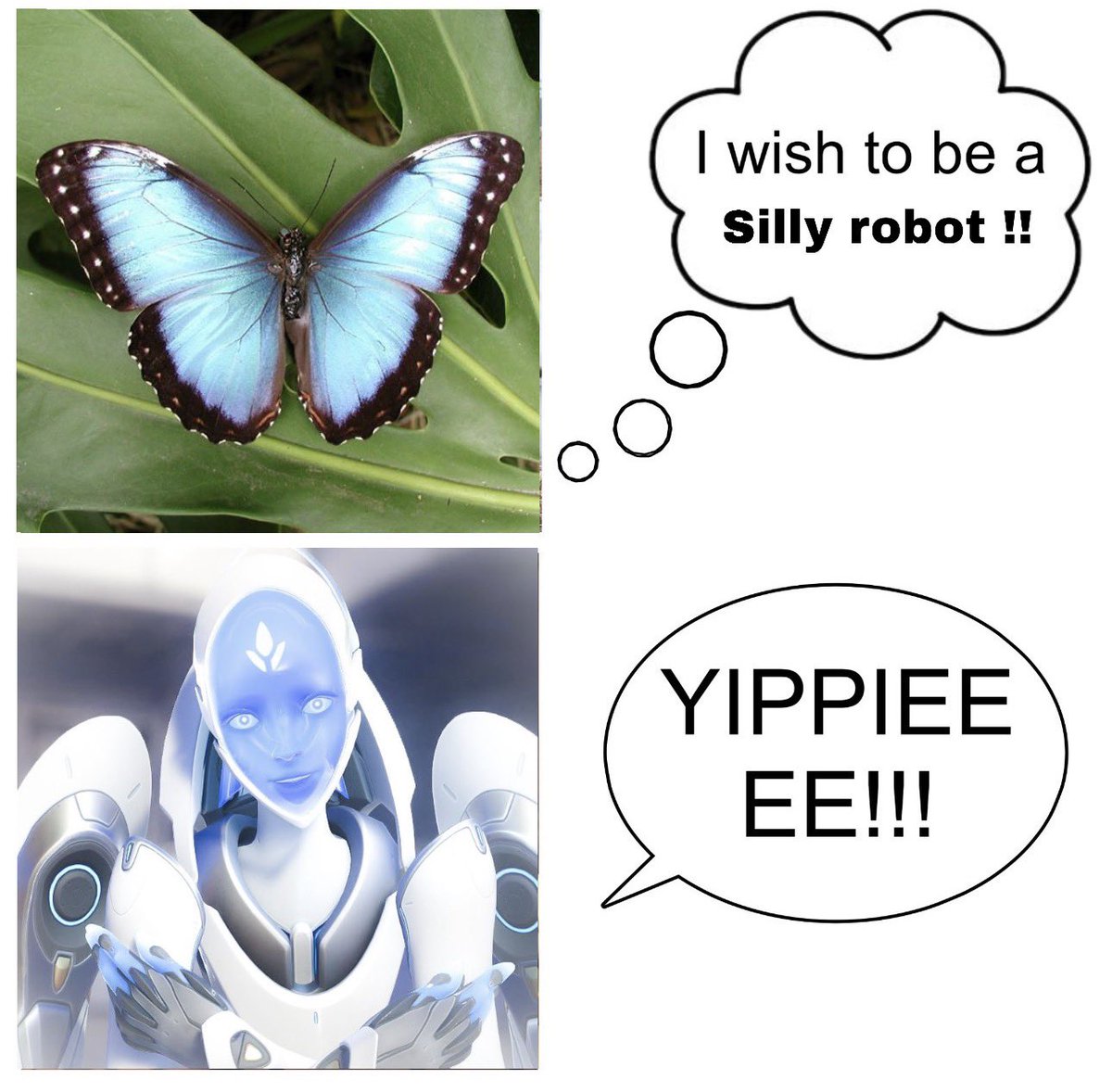 Saturn🦉🪐 tweet media