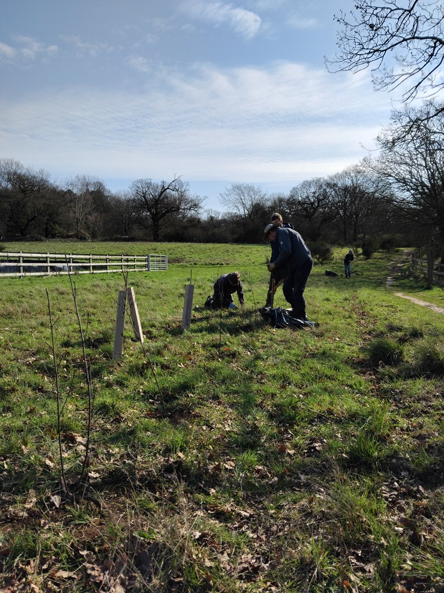 Greenways Project tweet media