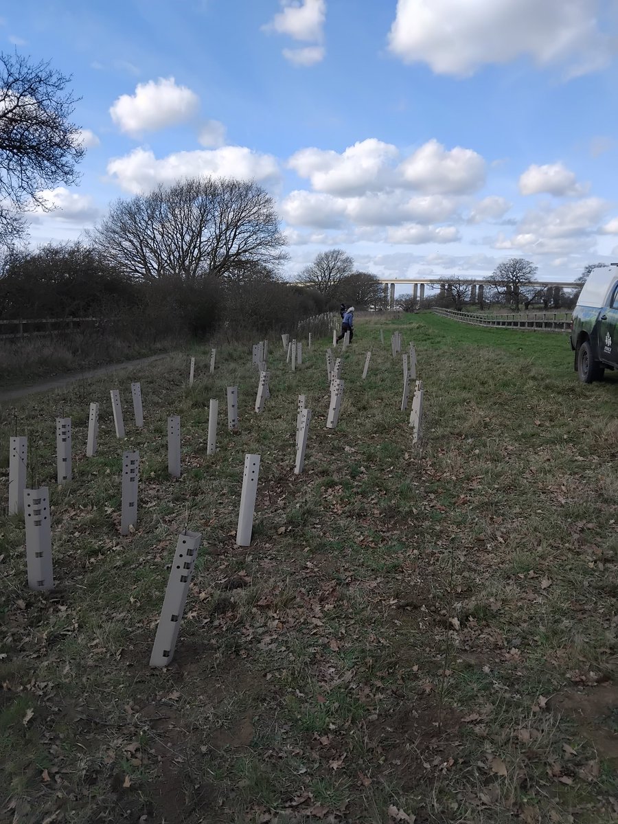 Greenways Project tweet media