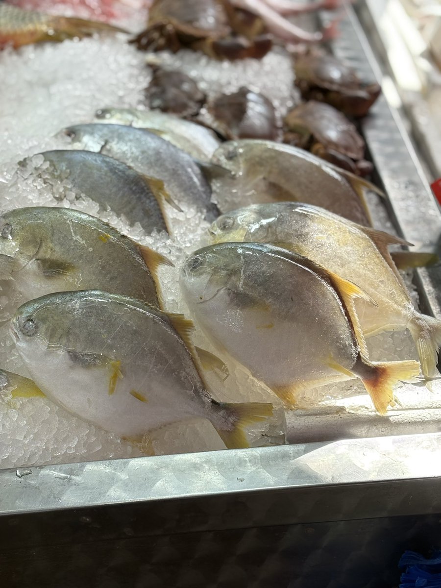 The Kennington Observer tweet media