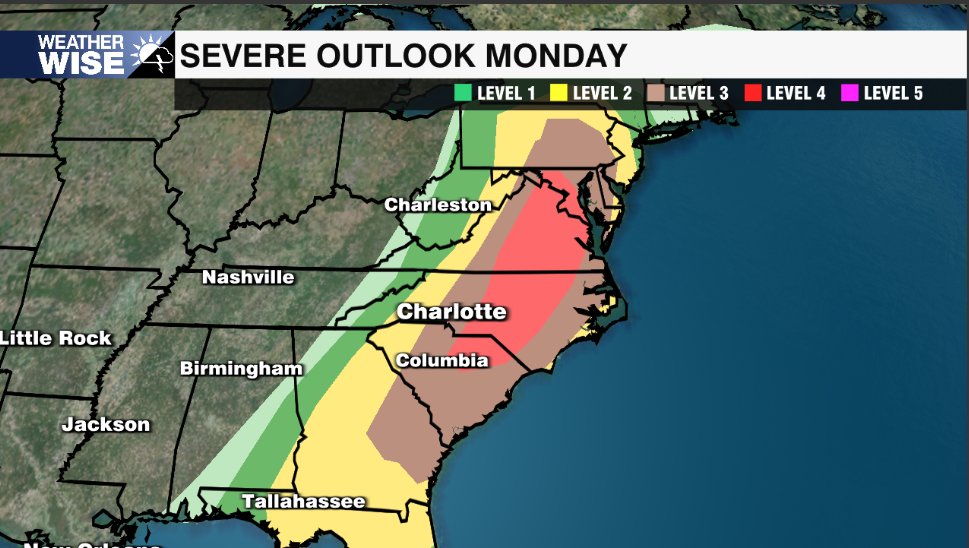 Janessa Webb tweet media