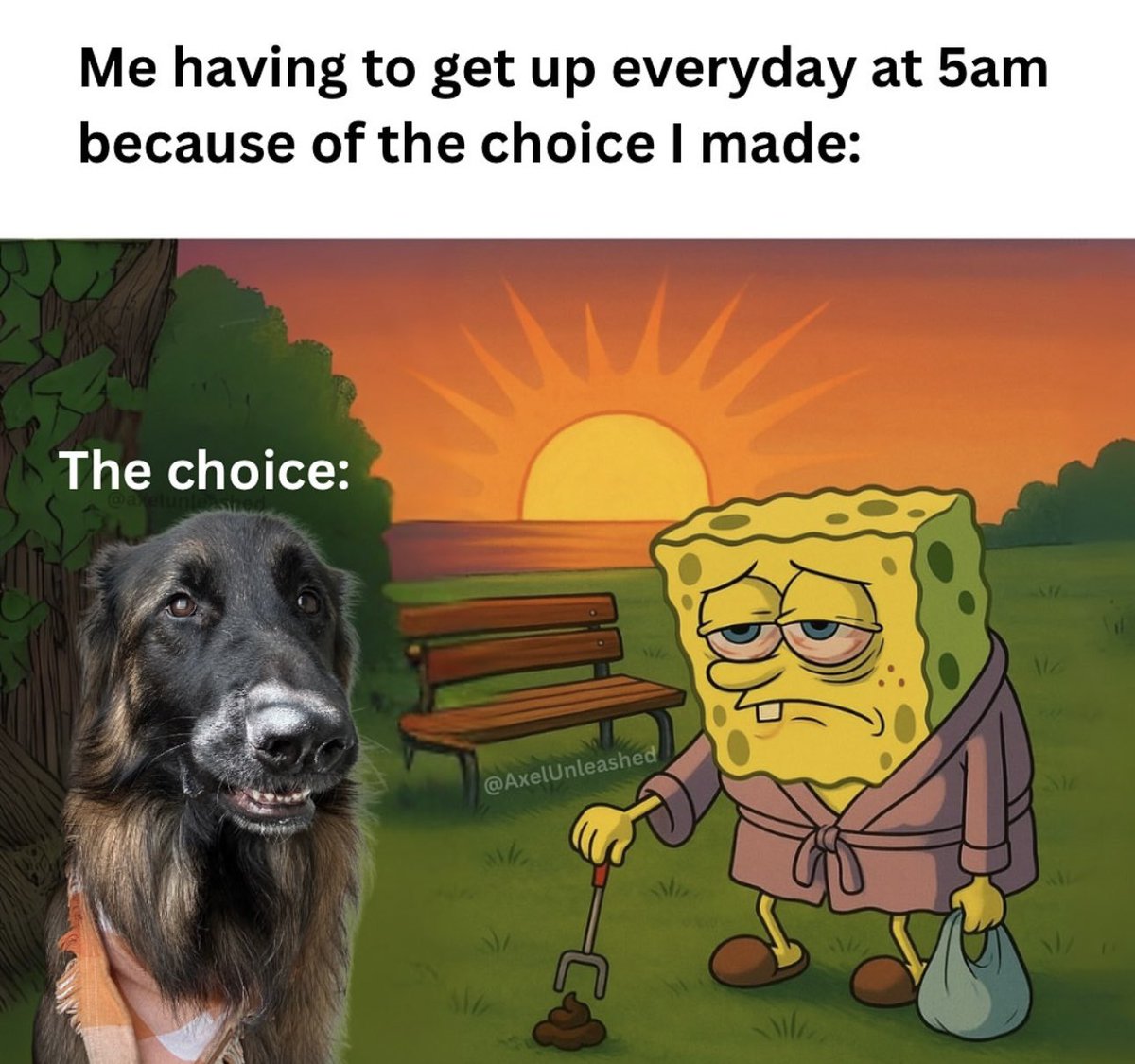 Zentrynell⚡️ tweet media