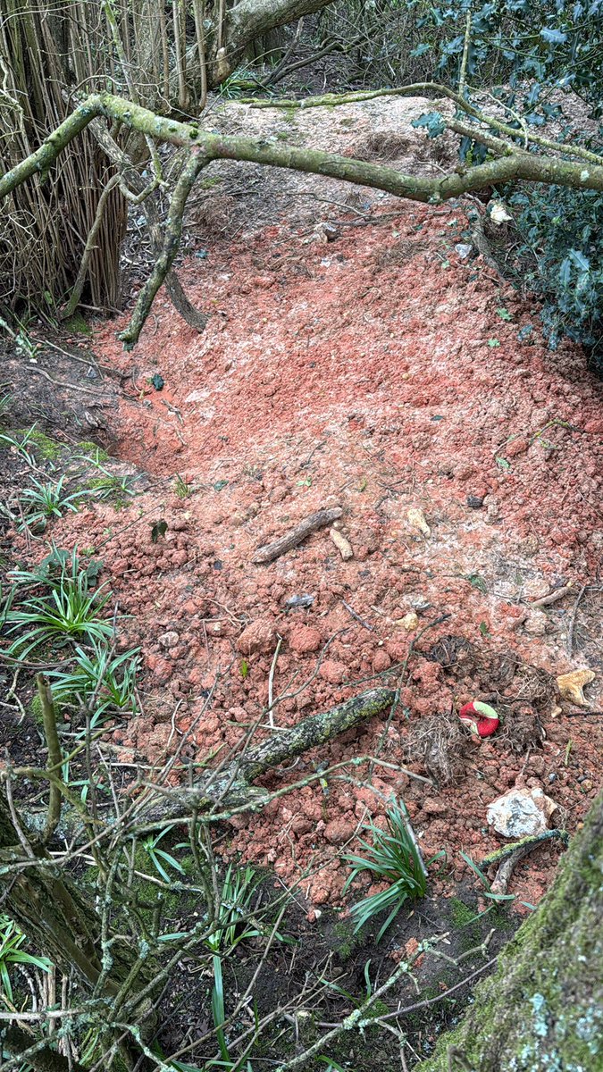 keeper ©️ tweet media