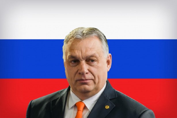 Frid 🇪🇺🦌 tweet media