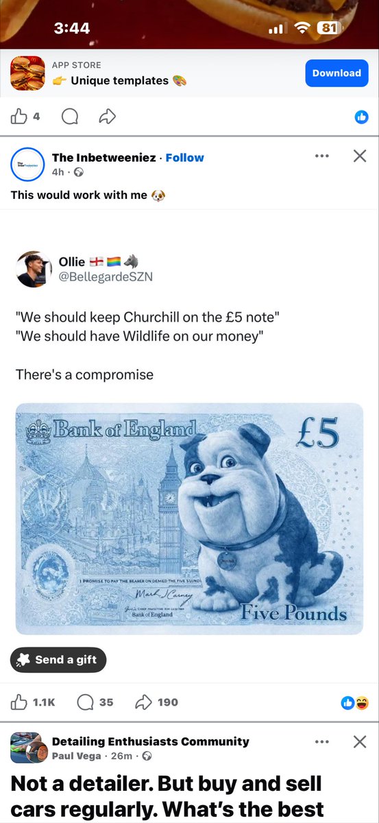 wolvesfc🐺 tweet media