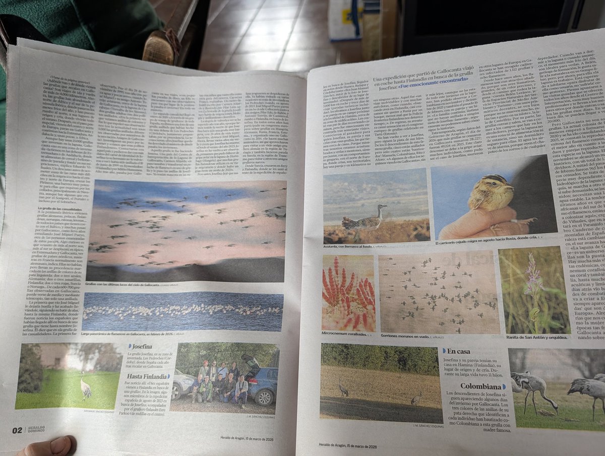 Eduardo Viñuales tweet media