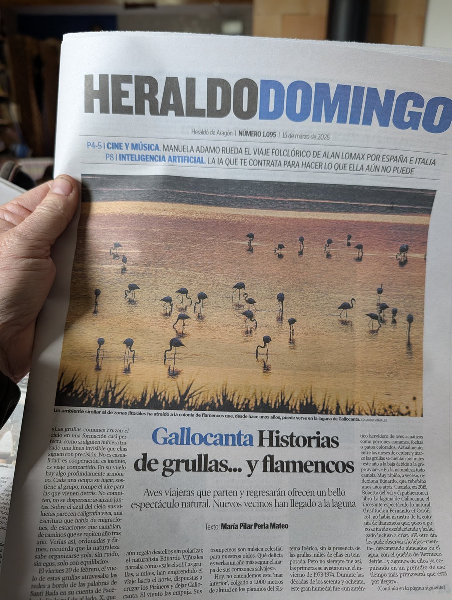 Eduardo Viñuales tweet media