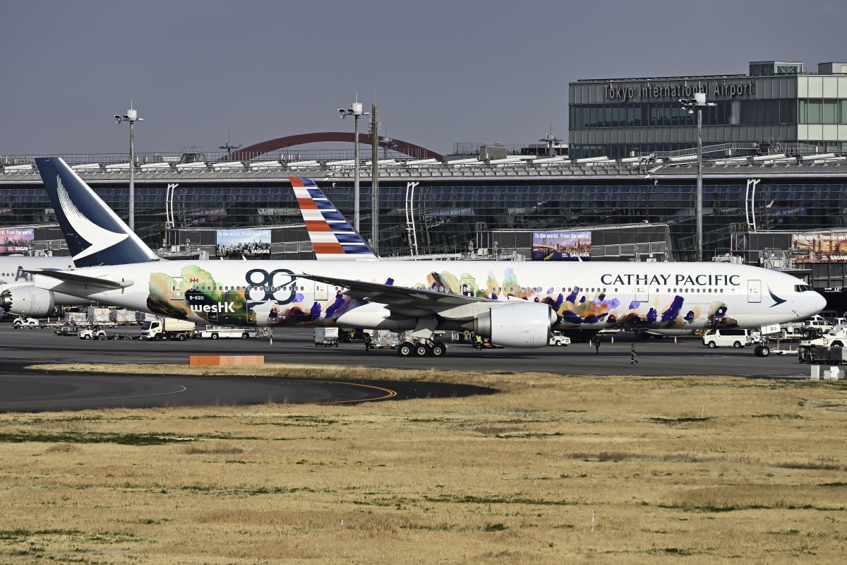 SSJ_しゅほーい tweet media