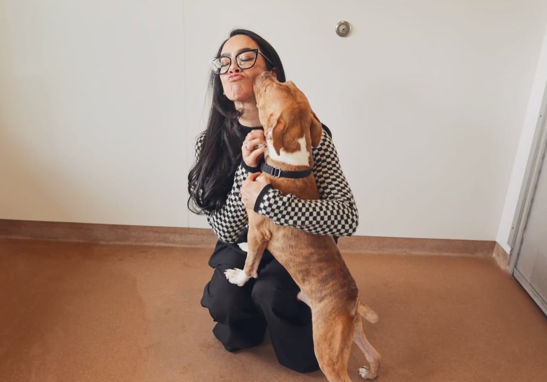 ʙʟᴏᴏᴅʟᴜꜱᴛ ꜱᴀᴛᴀɴᴀ tweet media