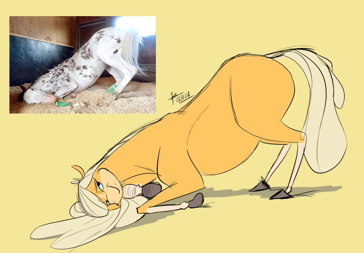 Hashira the Giraffe tweet media