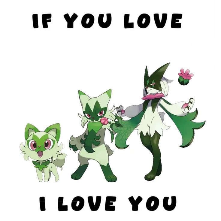 Roko! 🌱 tweet media