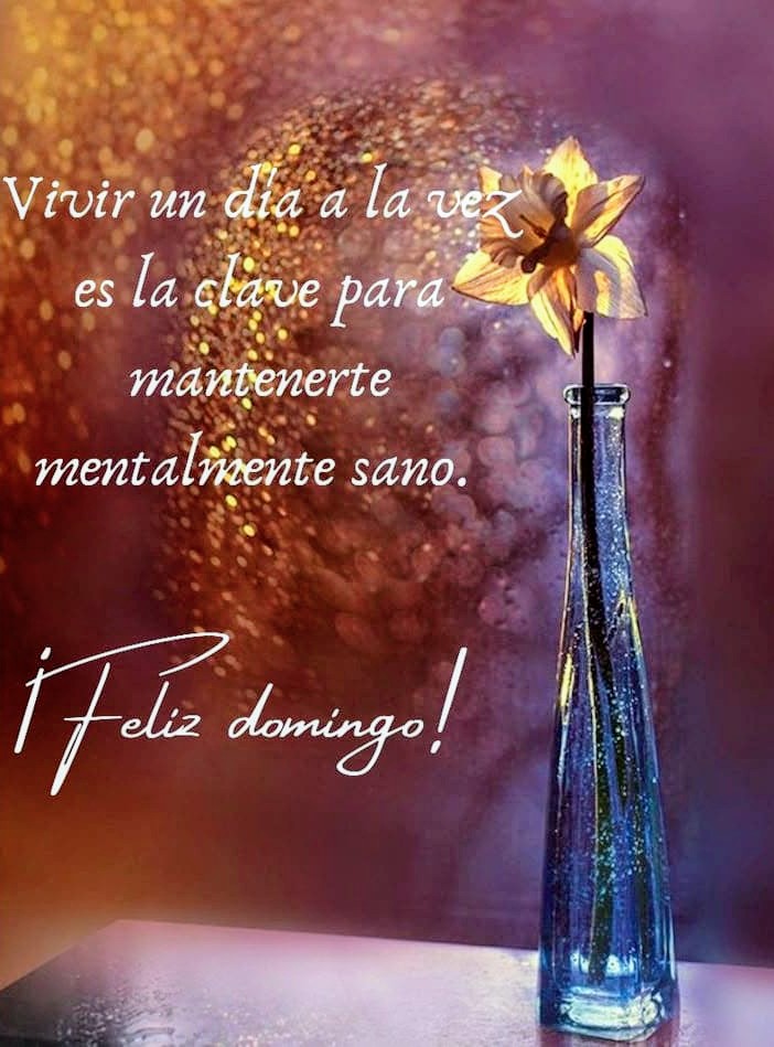 MayVqzSto's tweet photo. @MGGR66 https://t.co/ojNxjdWiix