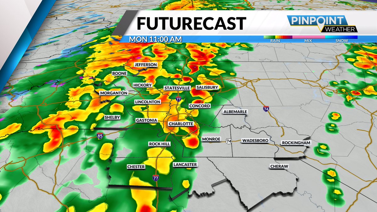 Tara Lane tweet media