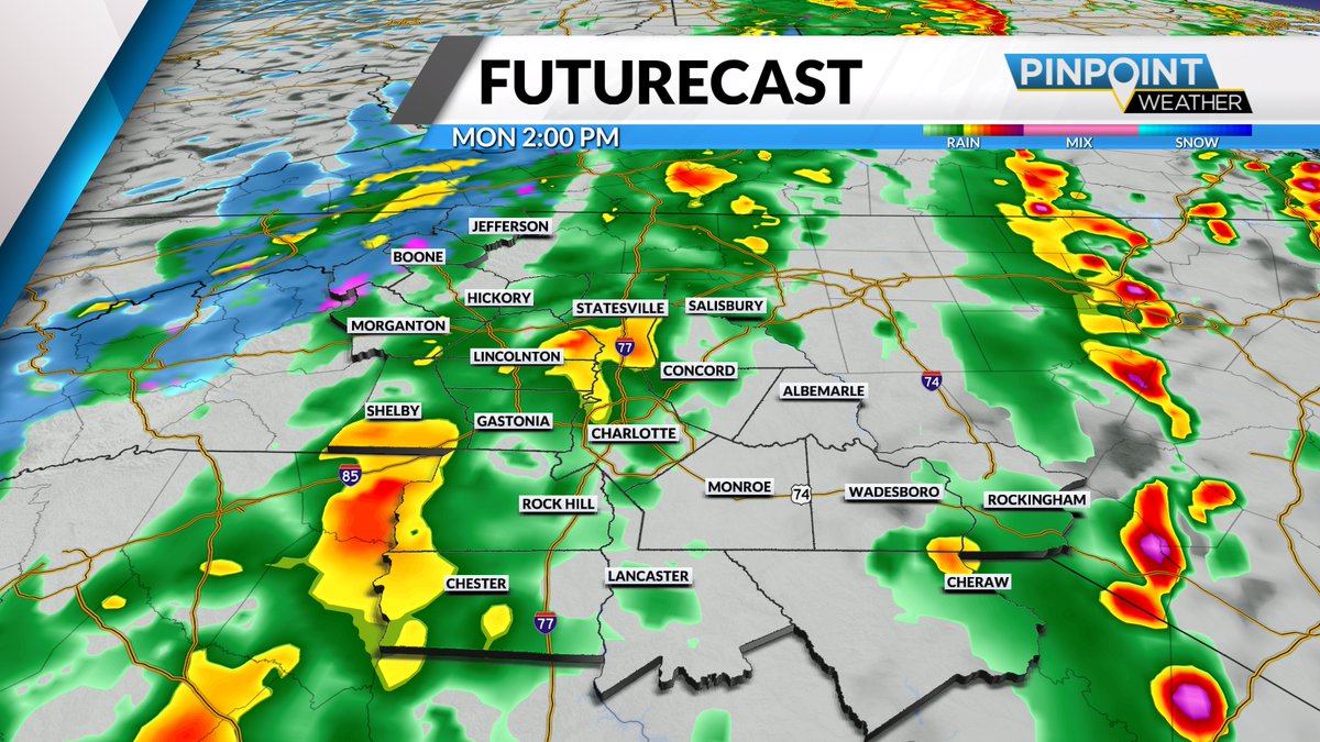 Tara Lane tweet media