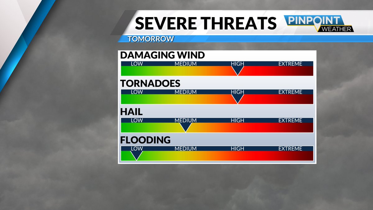 Tara Lane tweet media