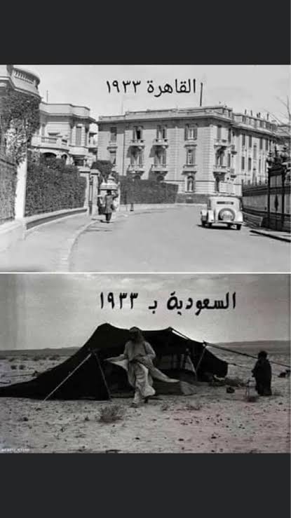 Ramy Aly tweet media