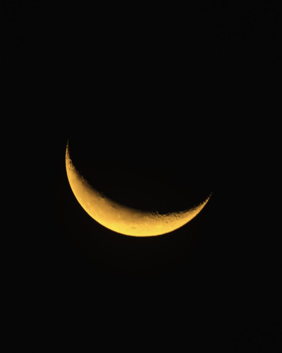 folkative tweet media