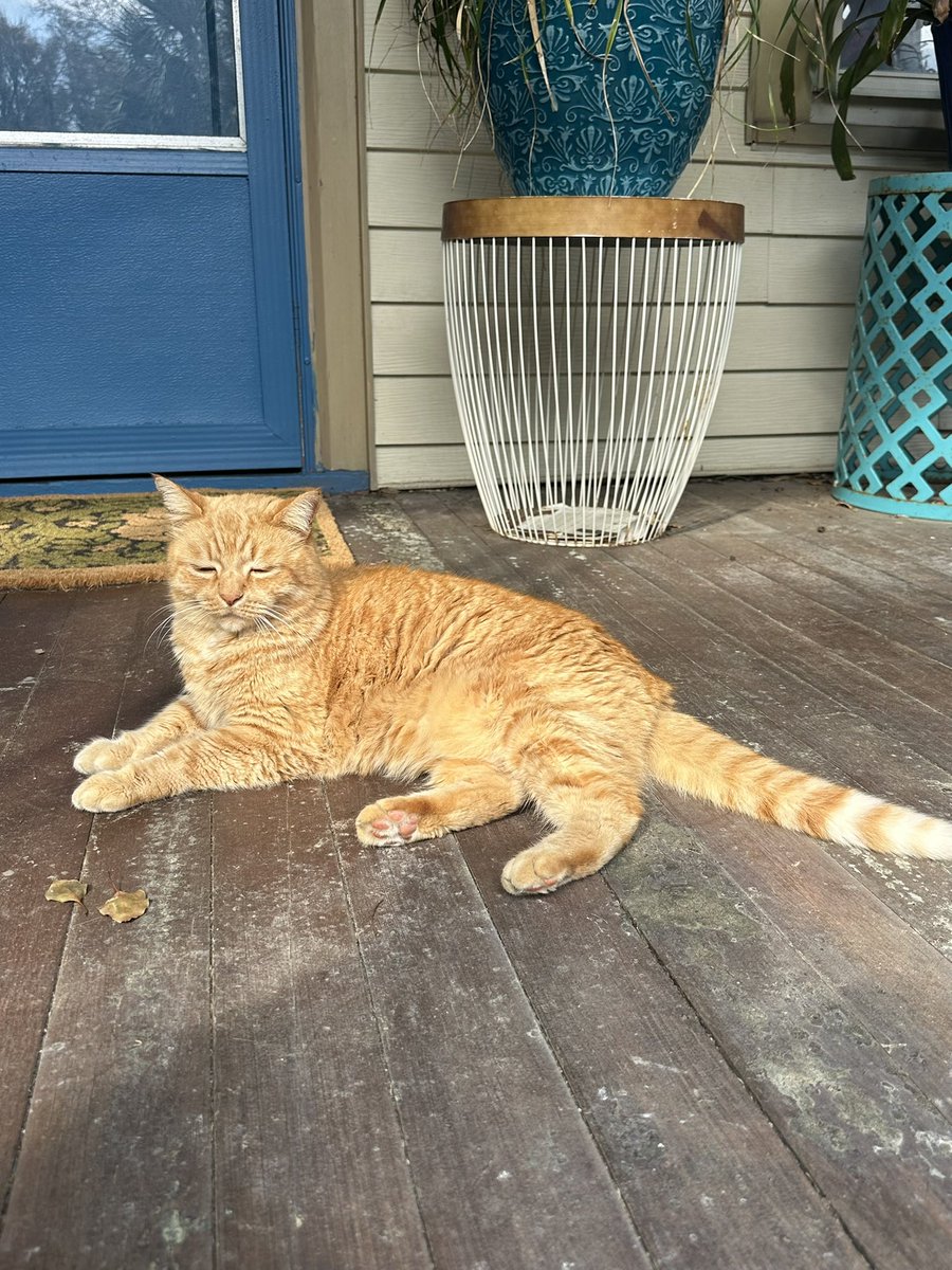 Patrick Skinner tweet media