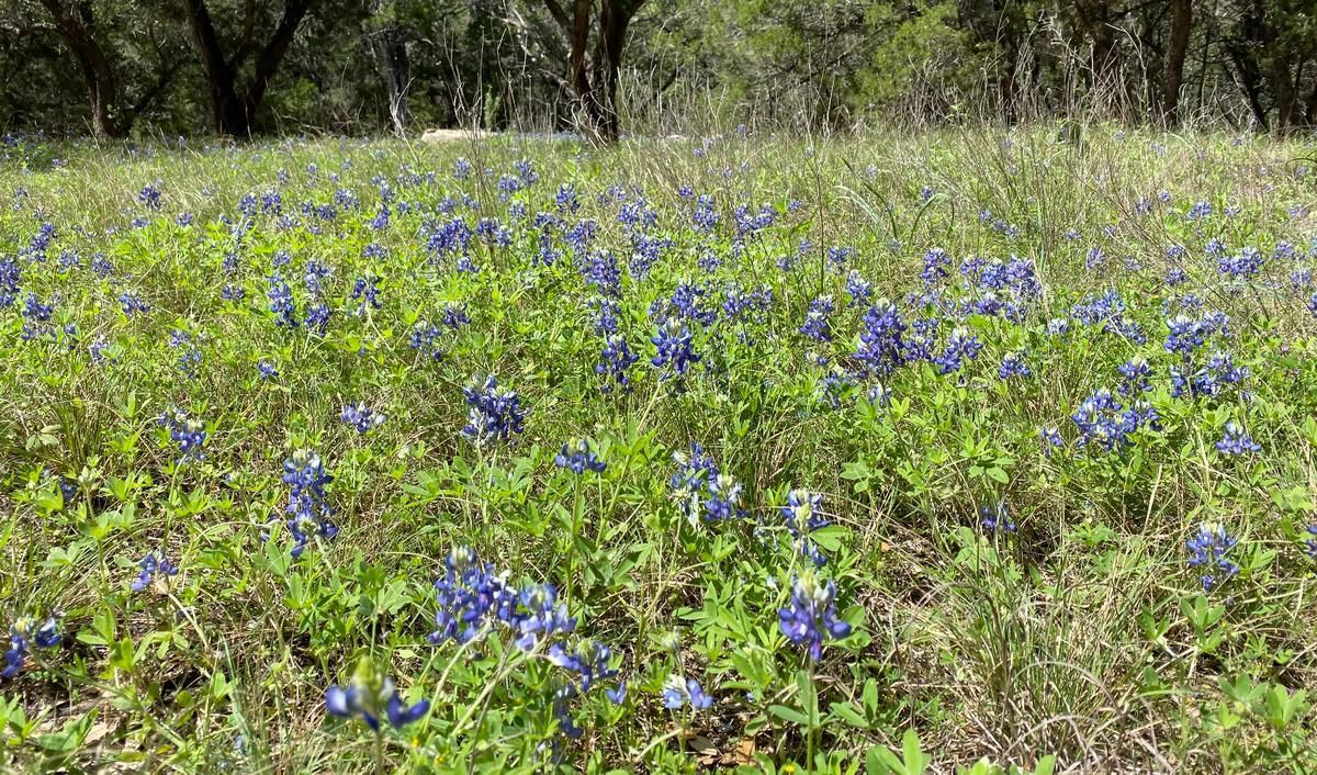 Ema Vacation Idea tweet media