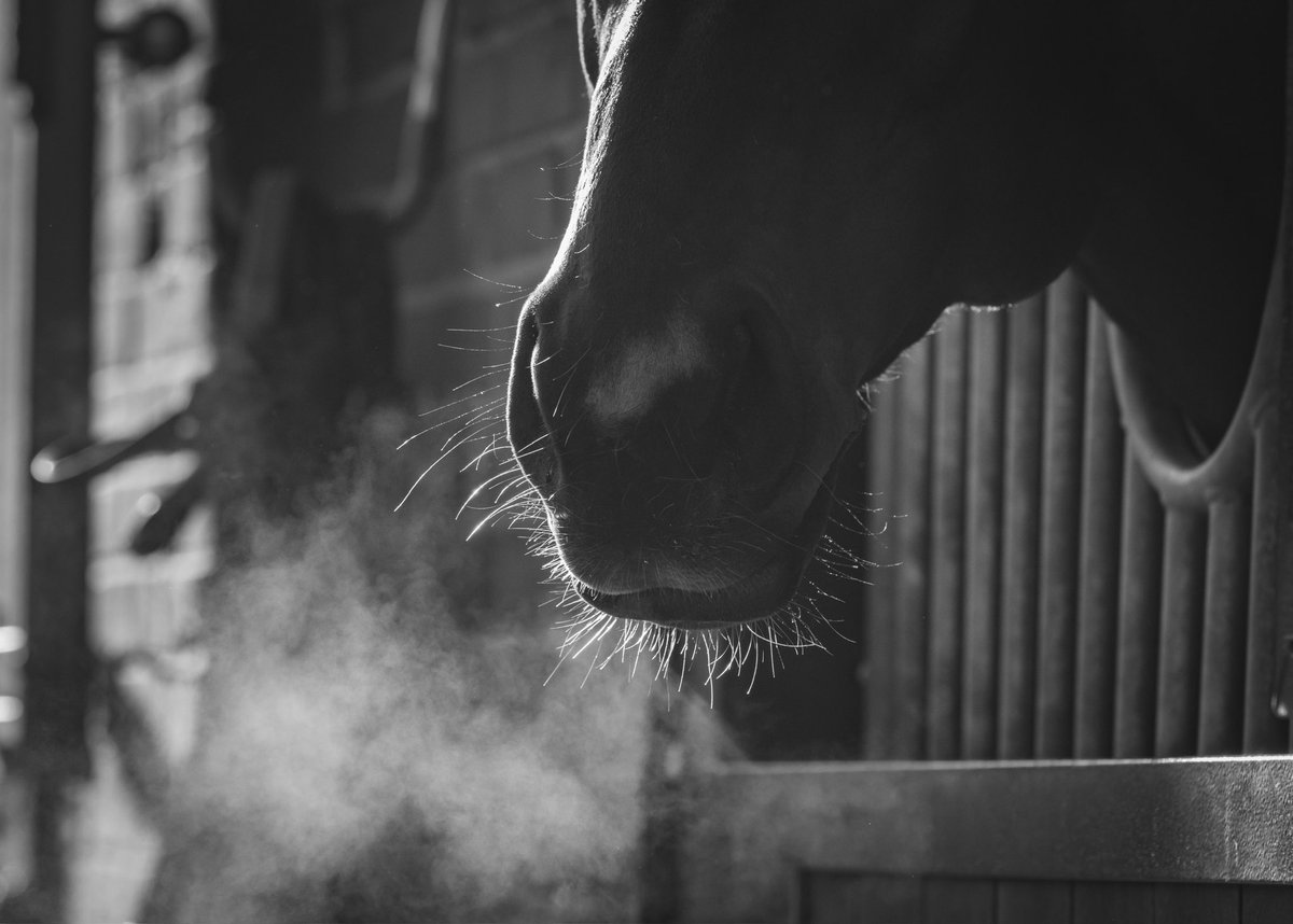 Jack Channon Racing tweet media