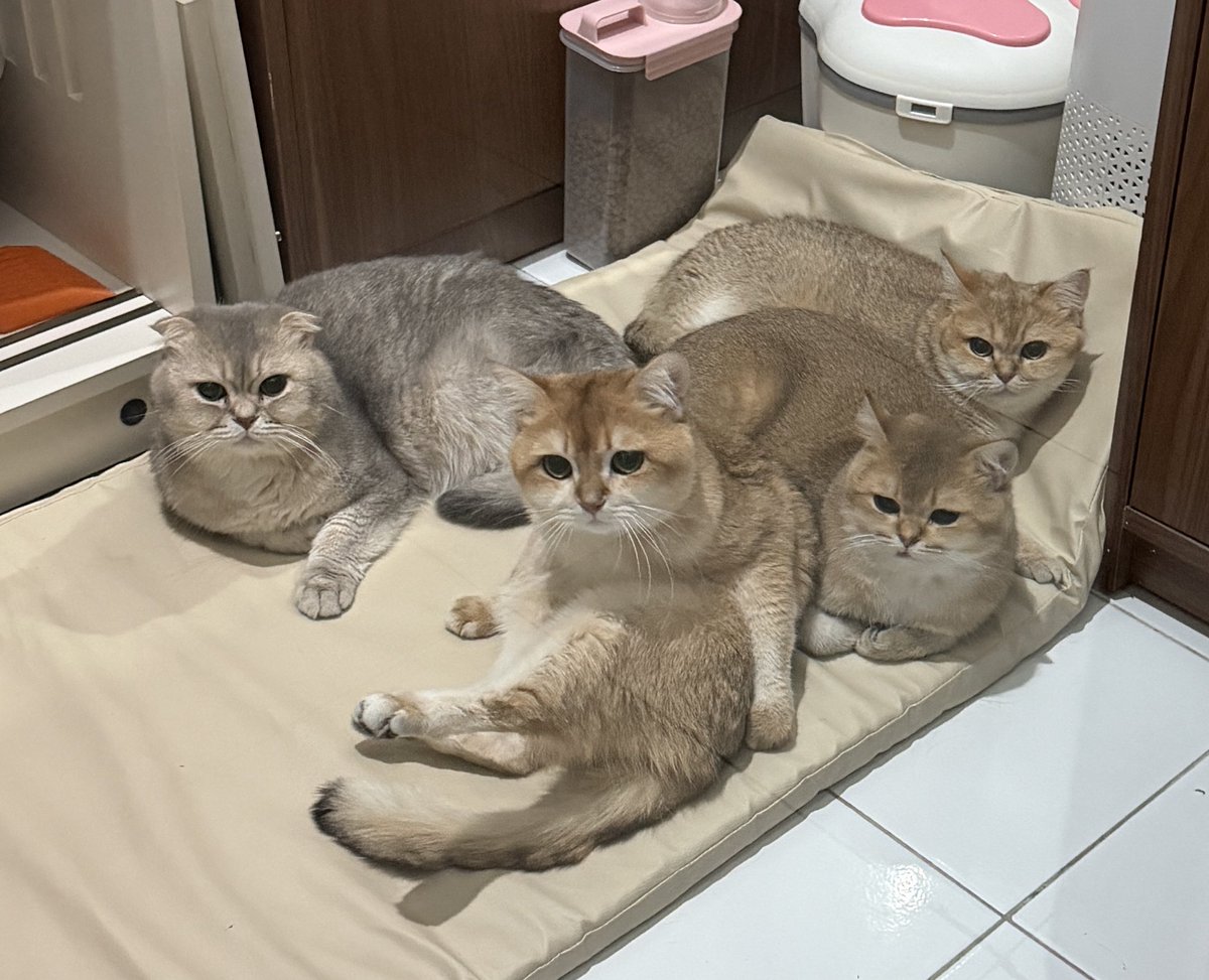 Nastar & Kara tweet media