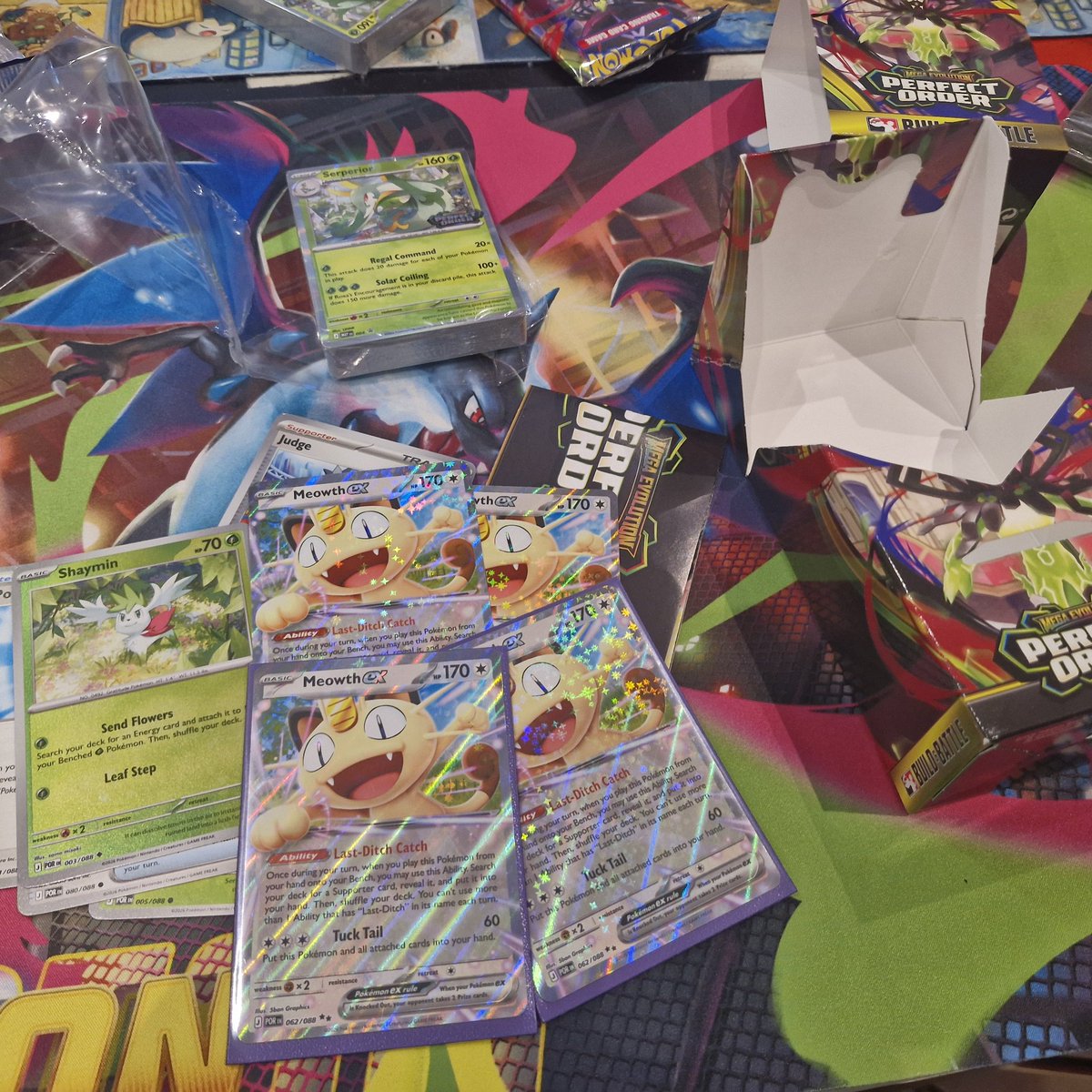 Finn Bakewell tweet media