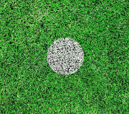 (fan) Mario tweet media