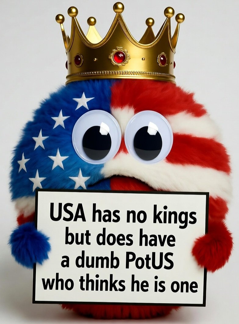 HedgehogsOfX's tweet image. #fluffballs #NoKings #protest