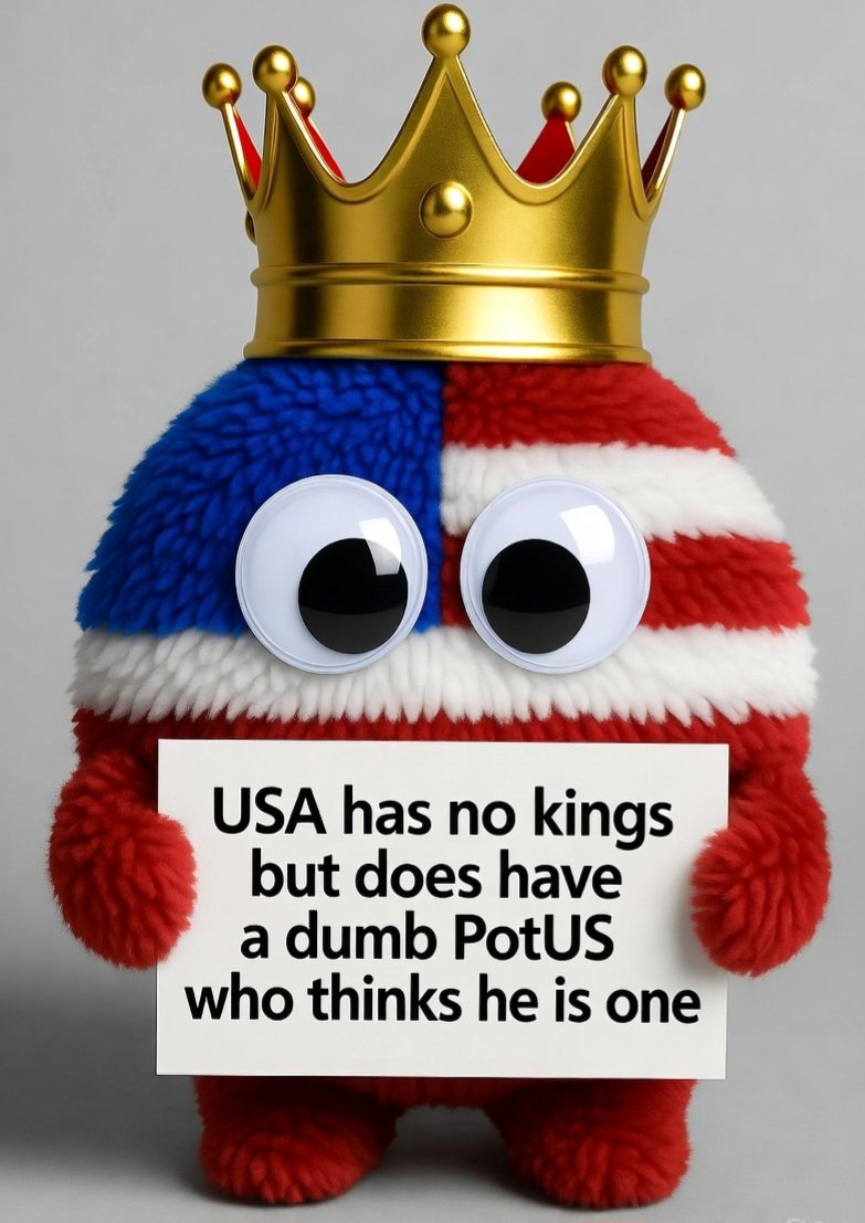 HedgehogsOfX's tweet image. #fluffballs #NoKings #protest