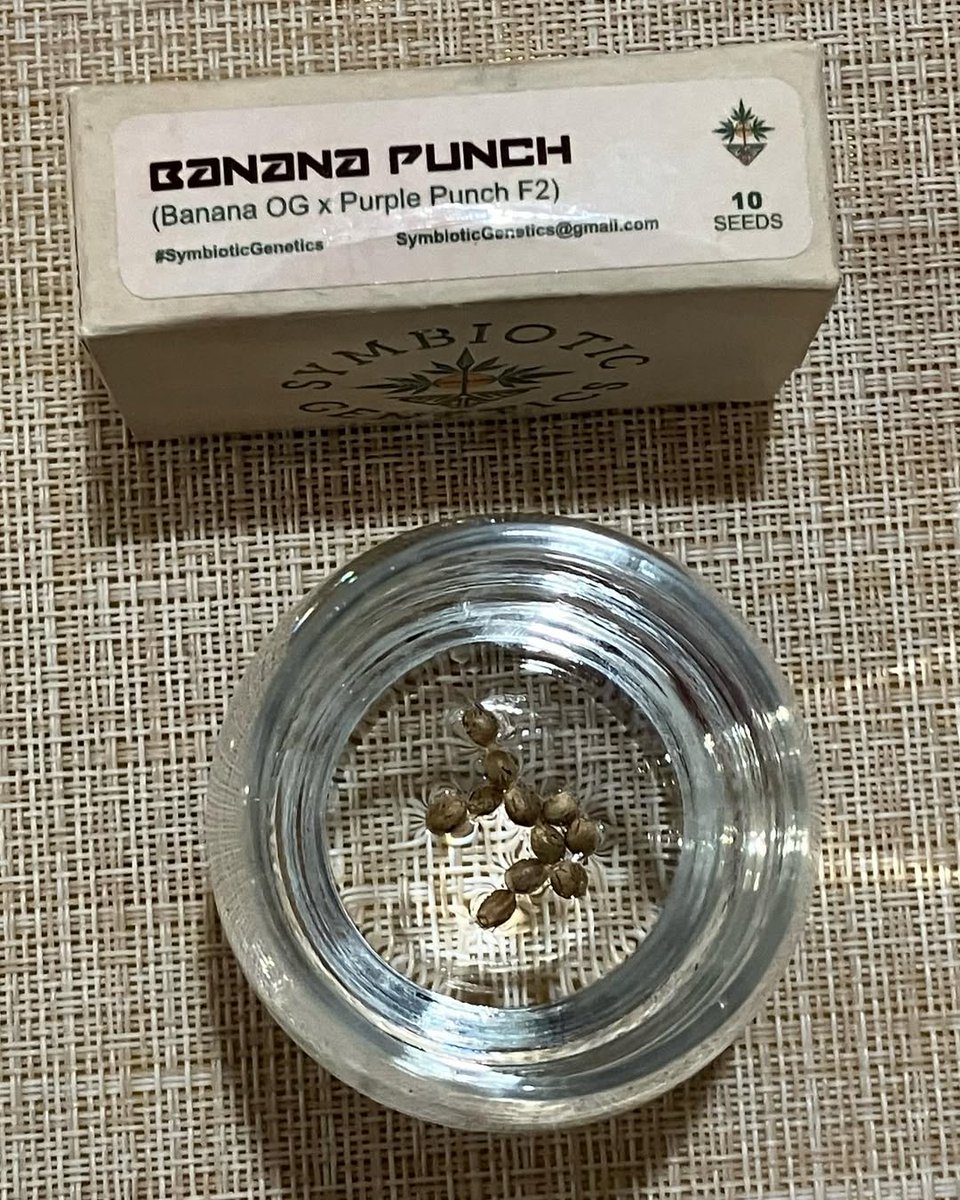 Symbiotic Genetics tweet media