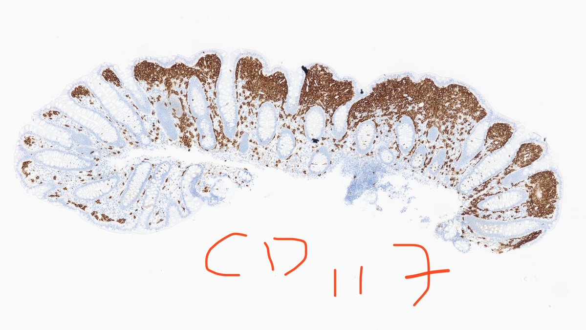 Xuchen Zhang tweet media