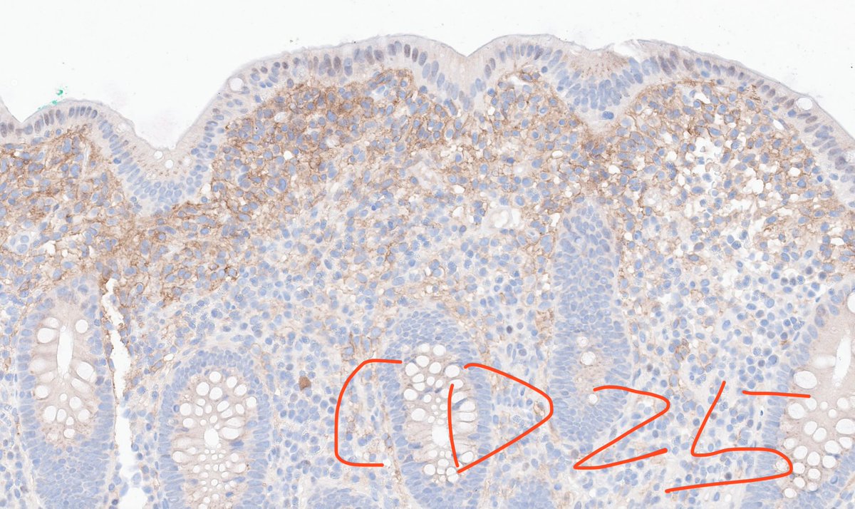 Xuchen Zhang tweet media
