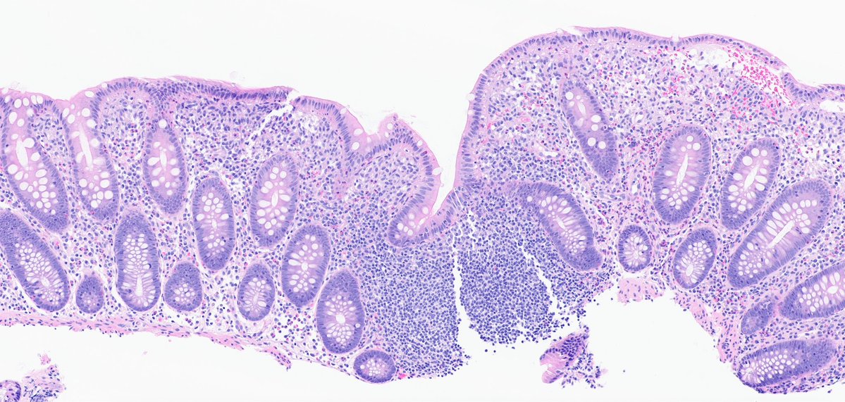 Xuchen Zhang tweet media