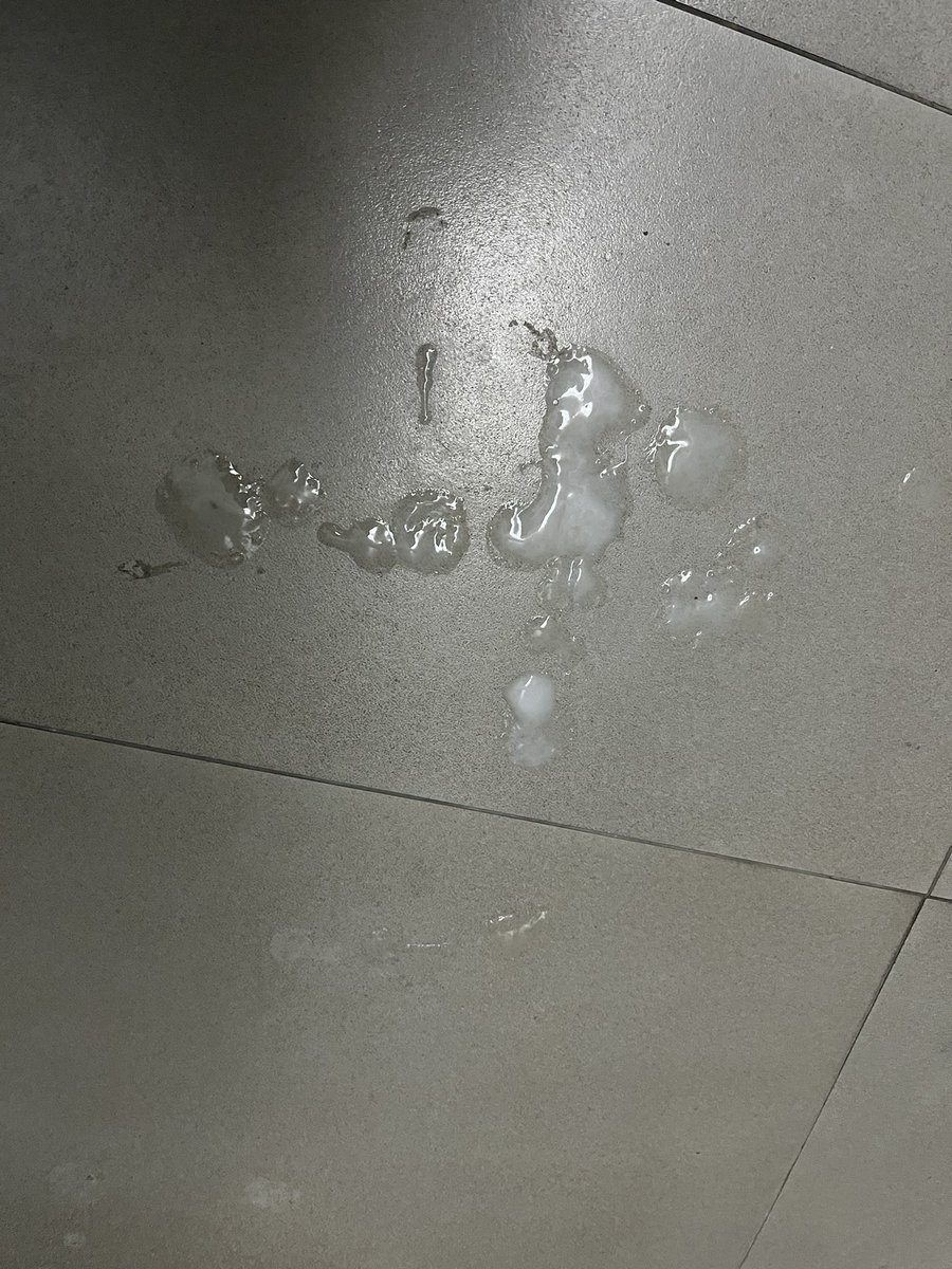 雙愛找尻尻 tweet media