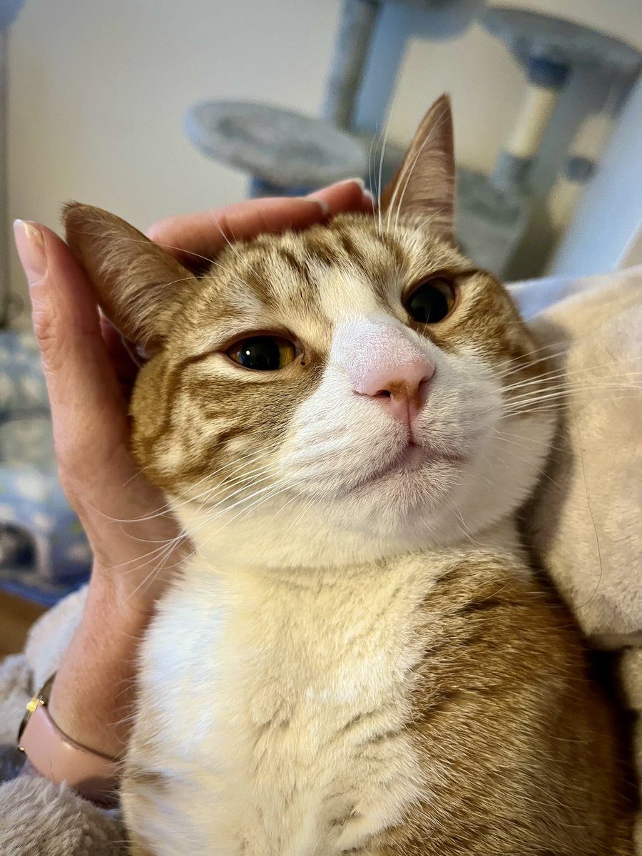 Malcolm & Baby Dog tweet media