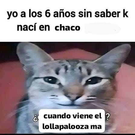cuando viene gorillaz