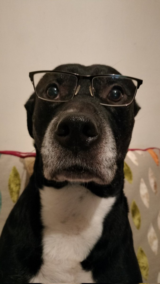 Spasticus Autisticus tweet media