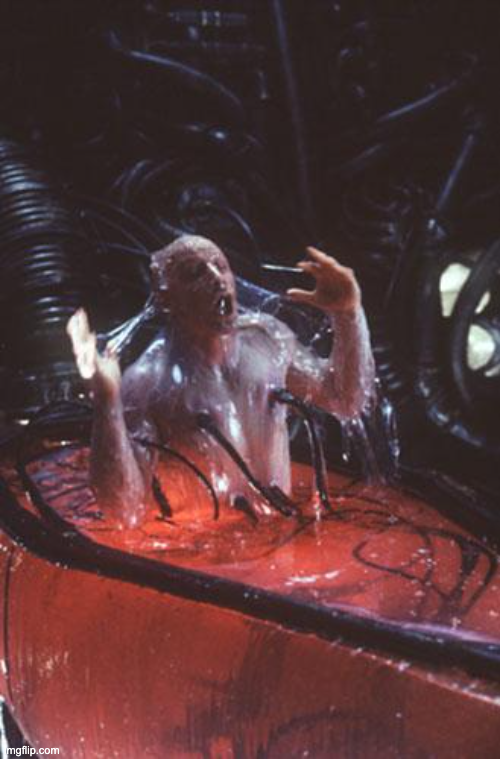 🚜Luddite🍄Engineer tweet media