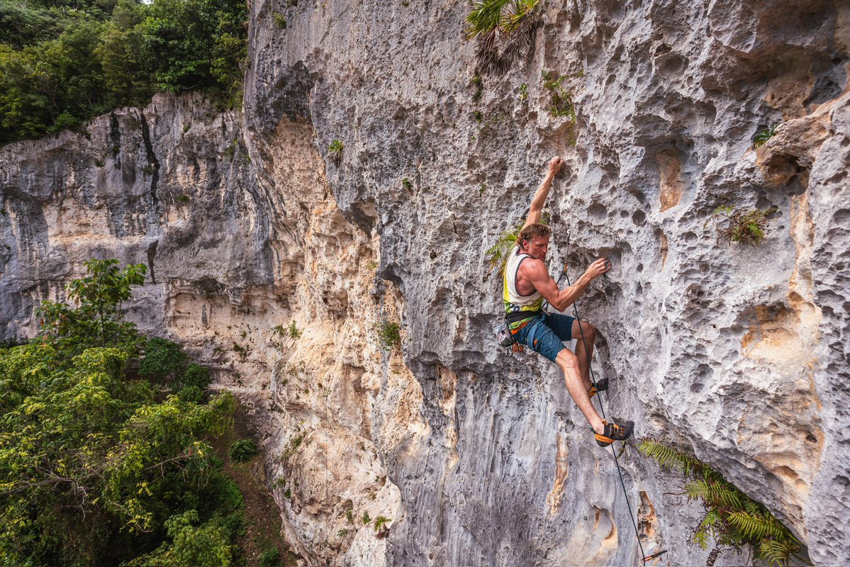 Kevin Dahlstrom tweet media