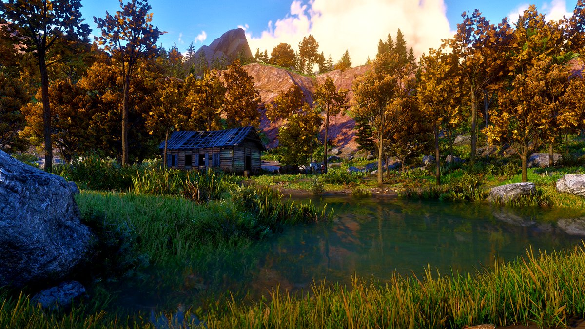 AzViking69Gamer tweet media