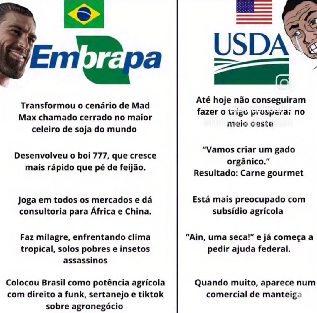 Djinn. ✡/acc tweet media