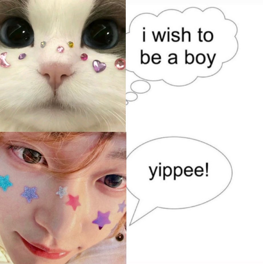 ꒰ა🐰ྀི໒꒱ tweet media