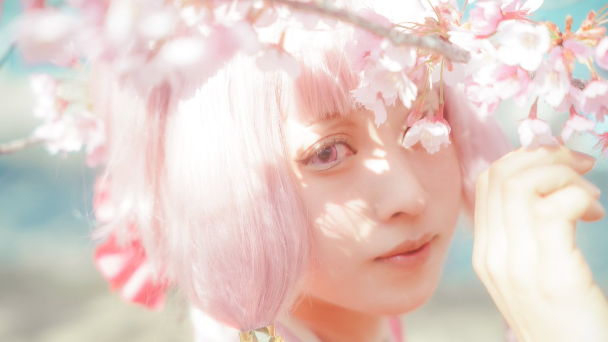 はらこ㍿ tweet media