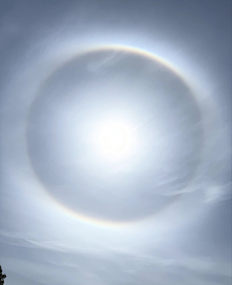 Nicklas Færch 🇩🇰 tweet media