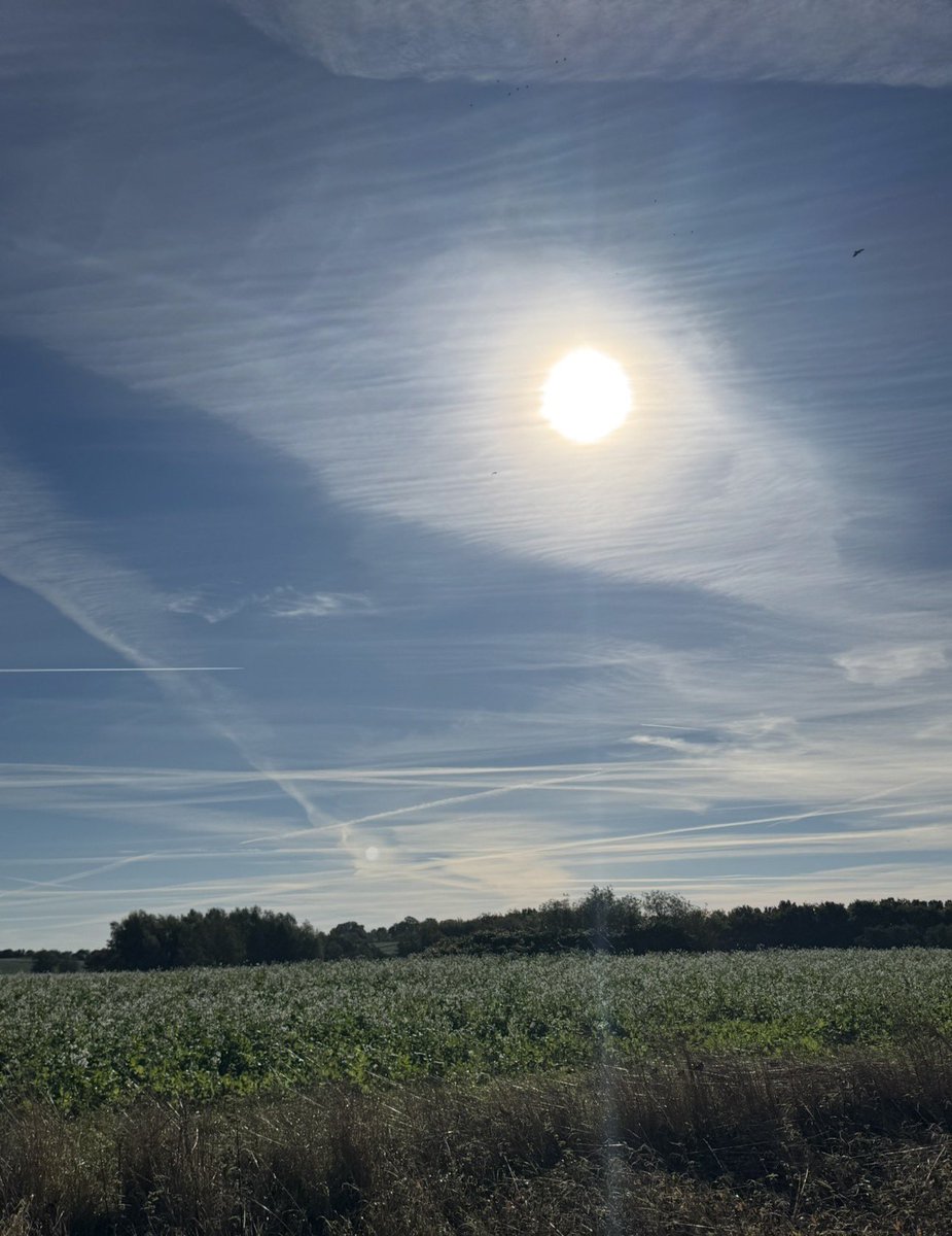 Nicklas Færch 🇩🇰 tweet media