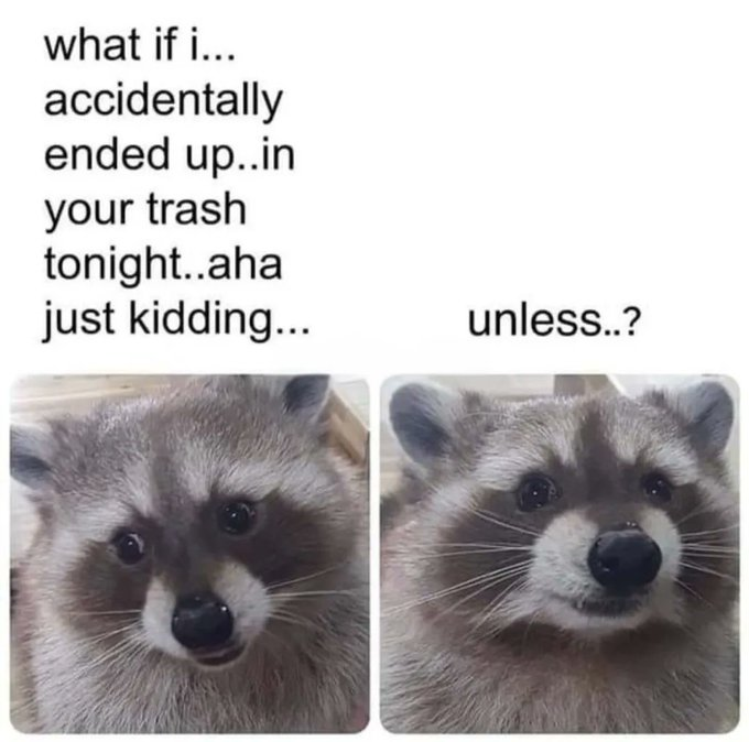 🐾TrashedHeart 🔞 | Trash Panda | 🦝 tweet media