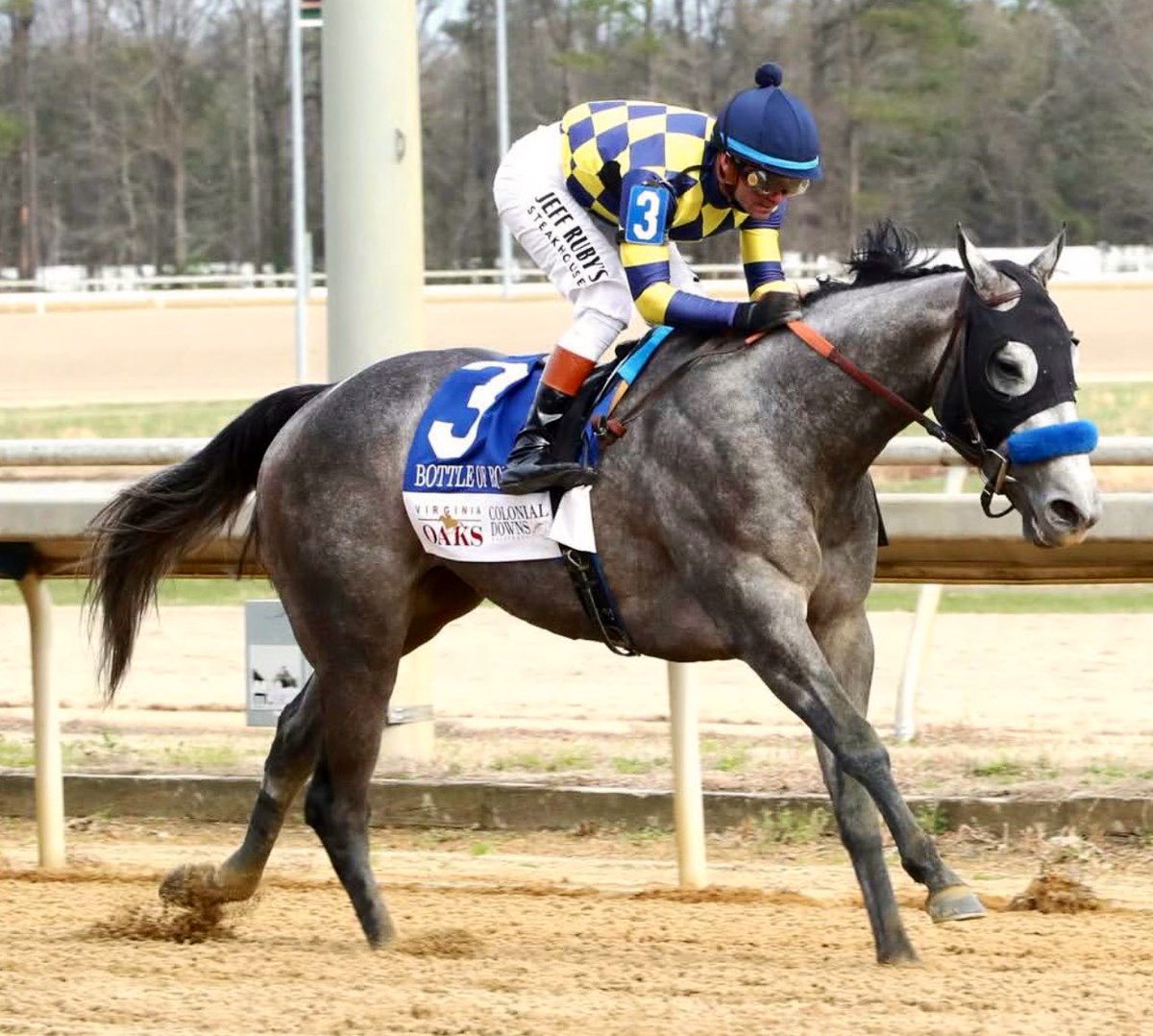 Stakes Winners 🏆 tweet media