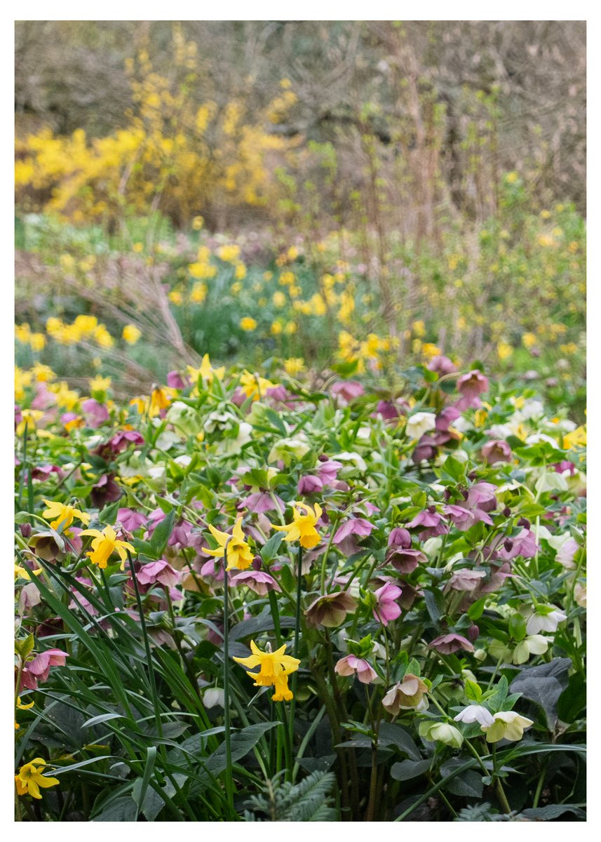 Solivagant tweet media